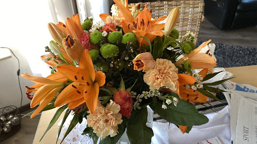 Holland Blumen Discount Glasbergen und Griftioen