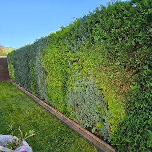 Gartenbau Freytag – Garten- & Landschaftsbau Peine