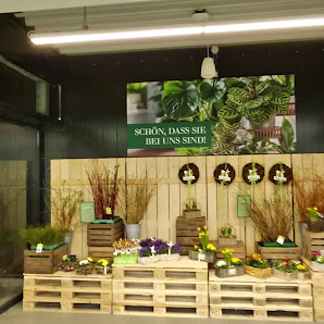 Dehner Garten-Center