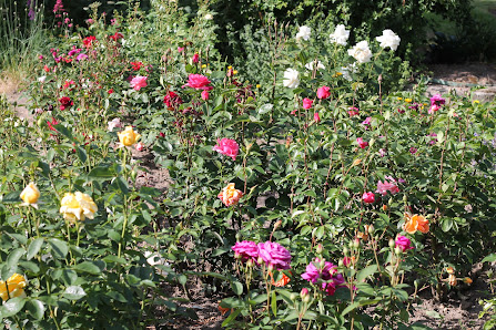 baudeinengarten.de