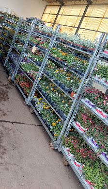 Schierz-Blumen OHG