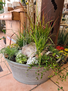 Blumen Seik
