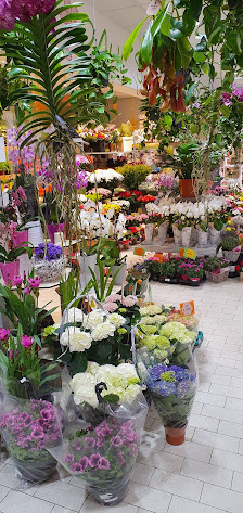 Pauls Blumenshop