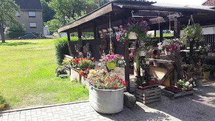 Lindenblüte