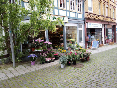 Blumen Terwort OHG Alfeld Leine