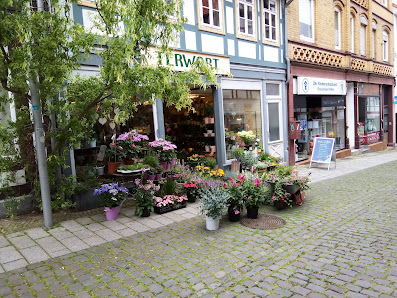 Blumen Terwort OHG Alfeld Leine
