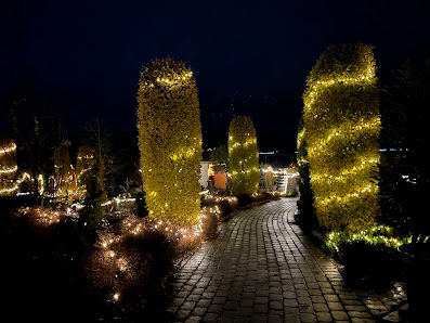 Dieter Schlegel Garten- und Landschaftsbau GmbH