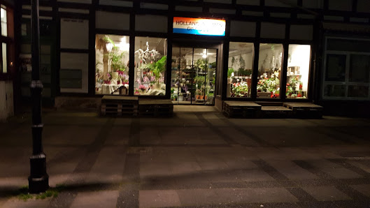 Holland-Blumen-Discount Glasbergen & Griffioen