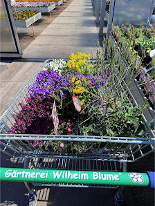Gärtnerei Wilhelm Blume