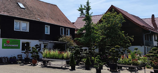 Grünewald Baumschule