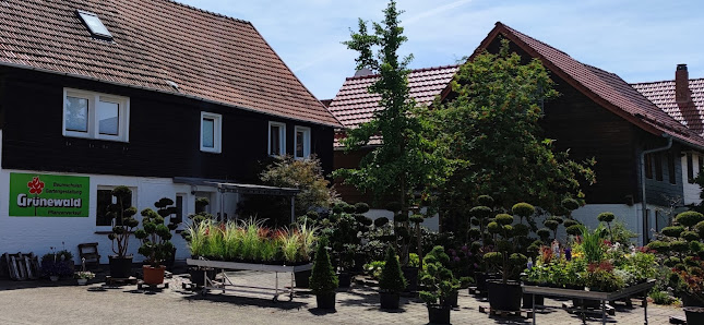 Grünewald Baumschule