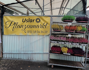 Blumenmarkt