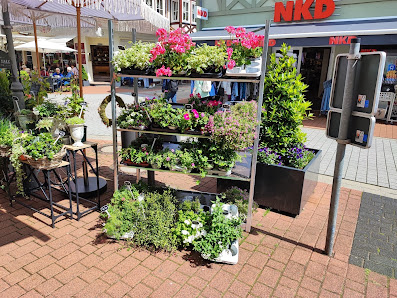 Gamas Blumenwelt