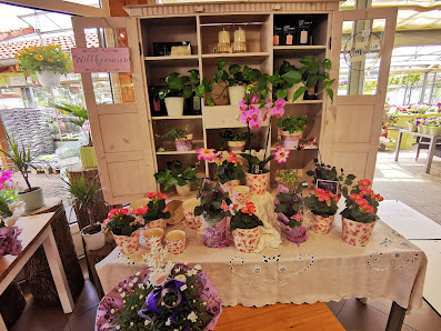 Blumenpavillon Hanelt GbR