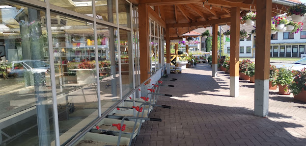 Blumenpavillon Hanelt GbR