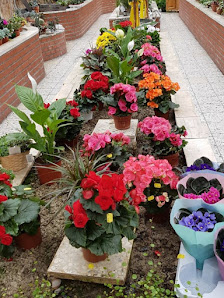 Blumen Dames