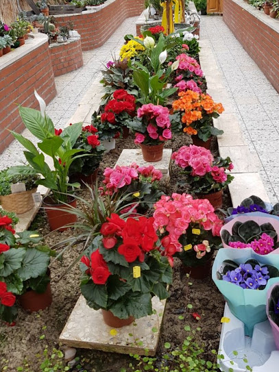 Blumen Dames
