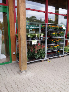 Dehner Garten-Center