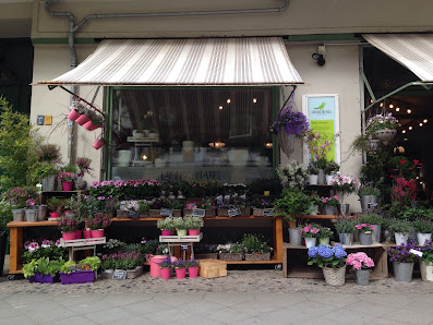 Grünschnabel Floristik & Plant Store Berlin