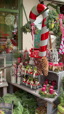 Grünschnabel Floristik & Plant Store Berlin