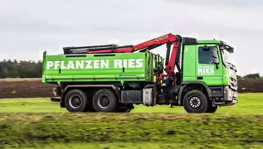 Pflanzen Ries GmbH & Co. KG