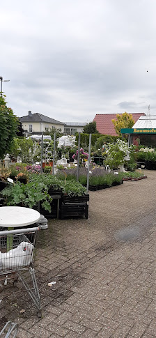 Müller Wilfried Gartencenter
