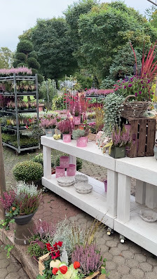 Lameyer Blumen & Pflanzen