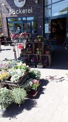 Lameyer Blumen & Pflanzen