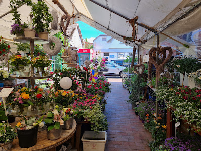 Beata´s Blumen