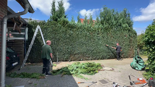 Garten & Hausmeisterservice Sam