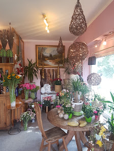 Löwenzahn Blumen