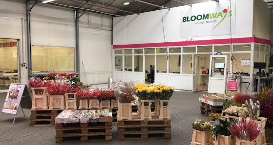 Bloomways GmbH