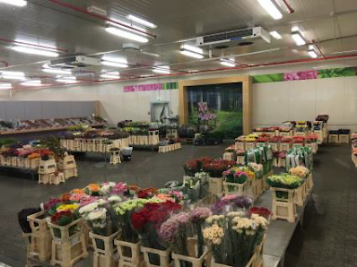 Bloomways GmbH