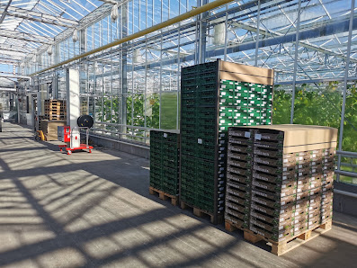 Gartenbau Schoenmaker & Bürger GmbH & Co. KG