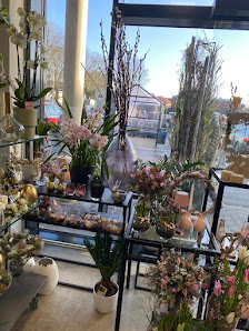 Blumen Oase