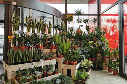 Floristik & Ambiente Carolin Plöger im Einkaufscenter multi Süd