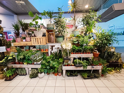 Floristik & Ambiente Carolin Plöger im multi Nord