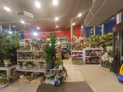 Floristik & Ambiente Carolin Plöger im multi Nord