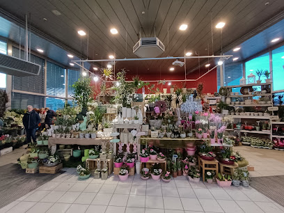 Floristik & Ambiente Carolin Plöger im multi Nord