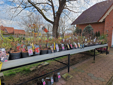 Pflanzenwelt GreenPoint