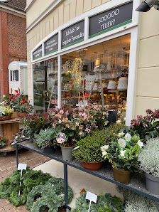 Garten Eden City
