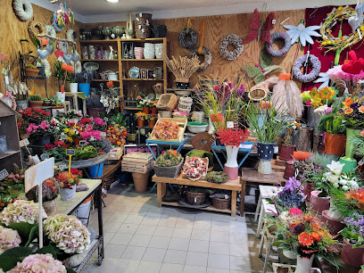 Blumen Krolo