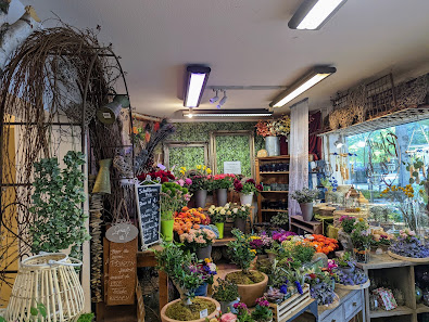 Blumenhaus Lex Angelika