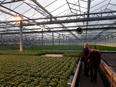 Friedrich Schulz Gartenbau GmbH&Co.Kg