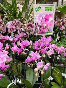 Edelkamp Gartencenter GmbH