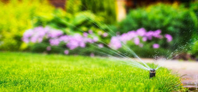 Belling Garten- & Landschaftsservice | Traumgärten | Gartenpflege