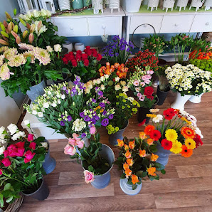 Blumen Fremy