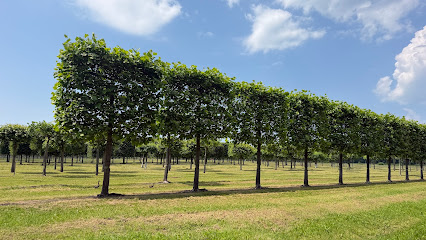 Bruns-Pflanzen-Export GmbH & Co. KG