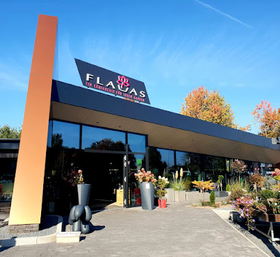 Flauas GmbH