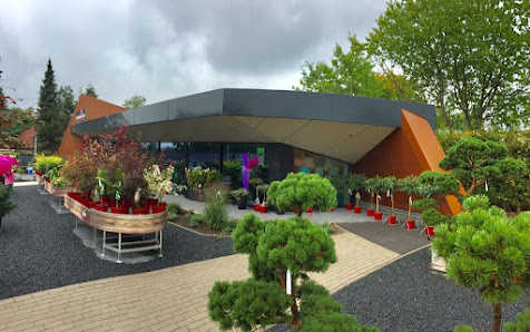 Flauas GmbH